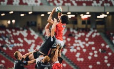 新星欧冠淘汰赛预测（欧冠新人）